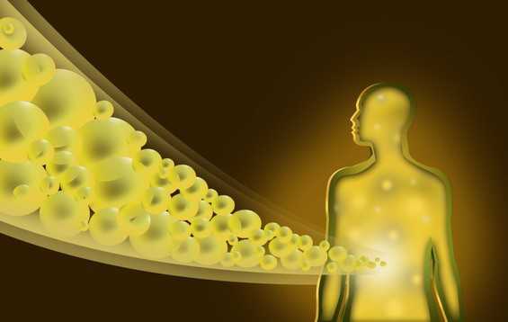 Желчный пузырь: 5 интересных фактов, о которых вы не знали